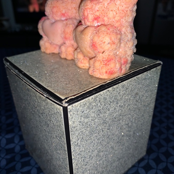 Orange You Glad It's Halloween Very Sweet Scented Autumn Acorn Bear Wax Melt - Picture 3 of 6